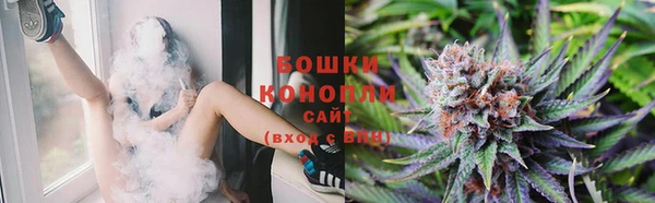 гидропоника Богородск