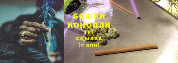 ПСИЛОЦИБИНОВЫЕ ГРИБЫ Богородицк