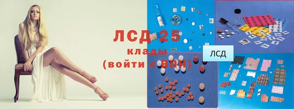 ПСИЛОЦИБИНОВЫЕ ГРИБЫ Богородицк
