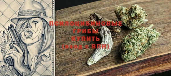 гидропоника Богородск